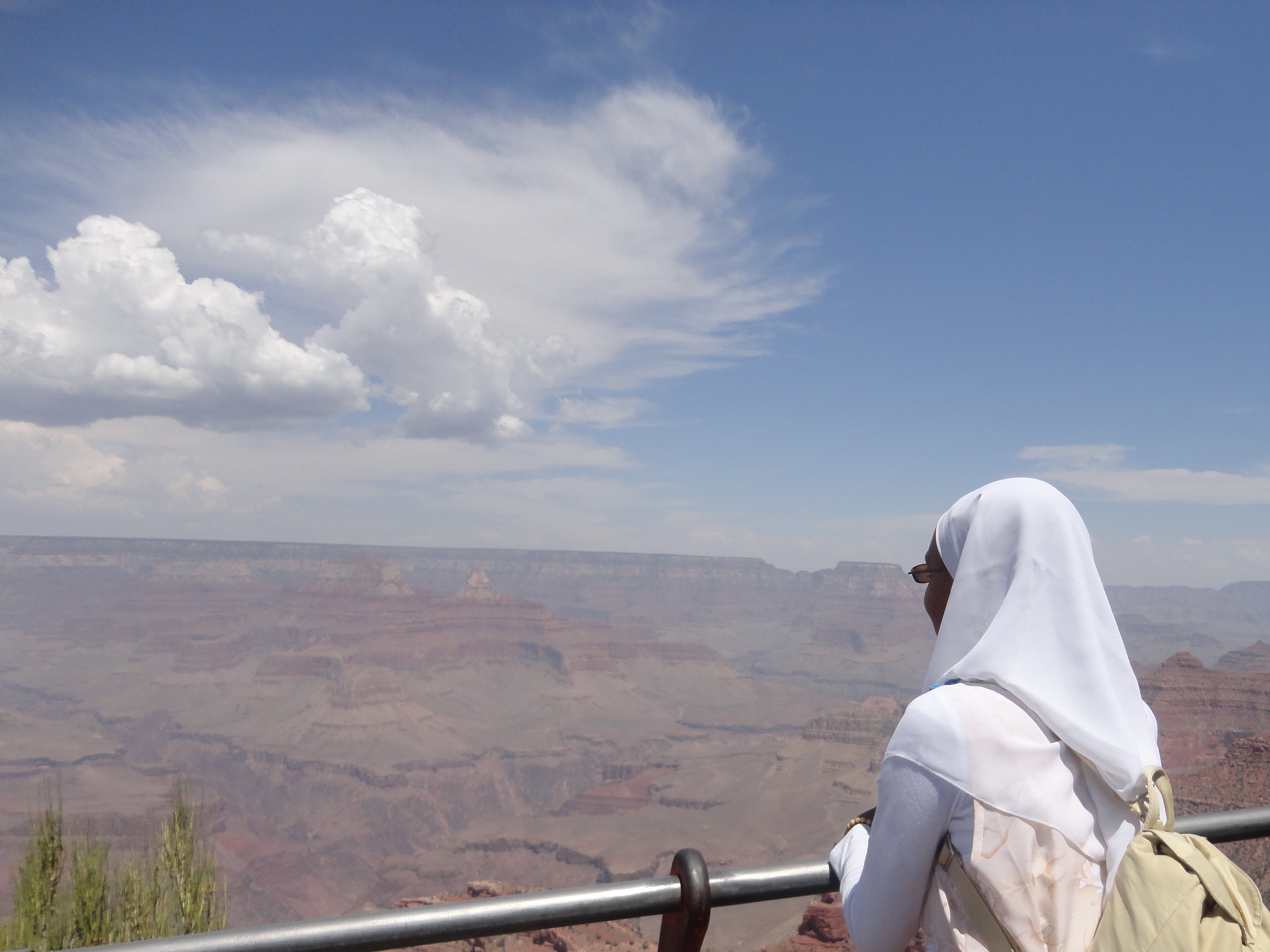 Looking out at the Canyon